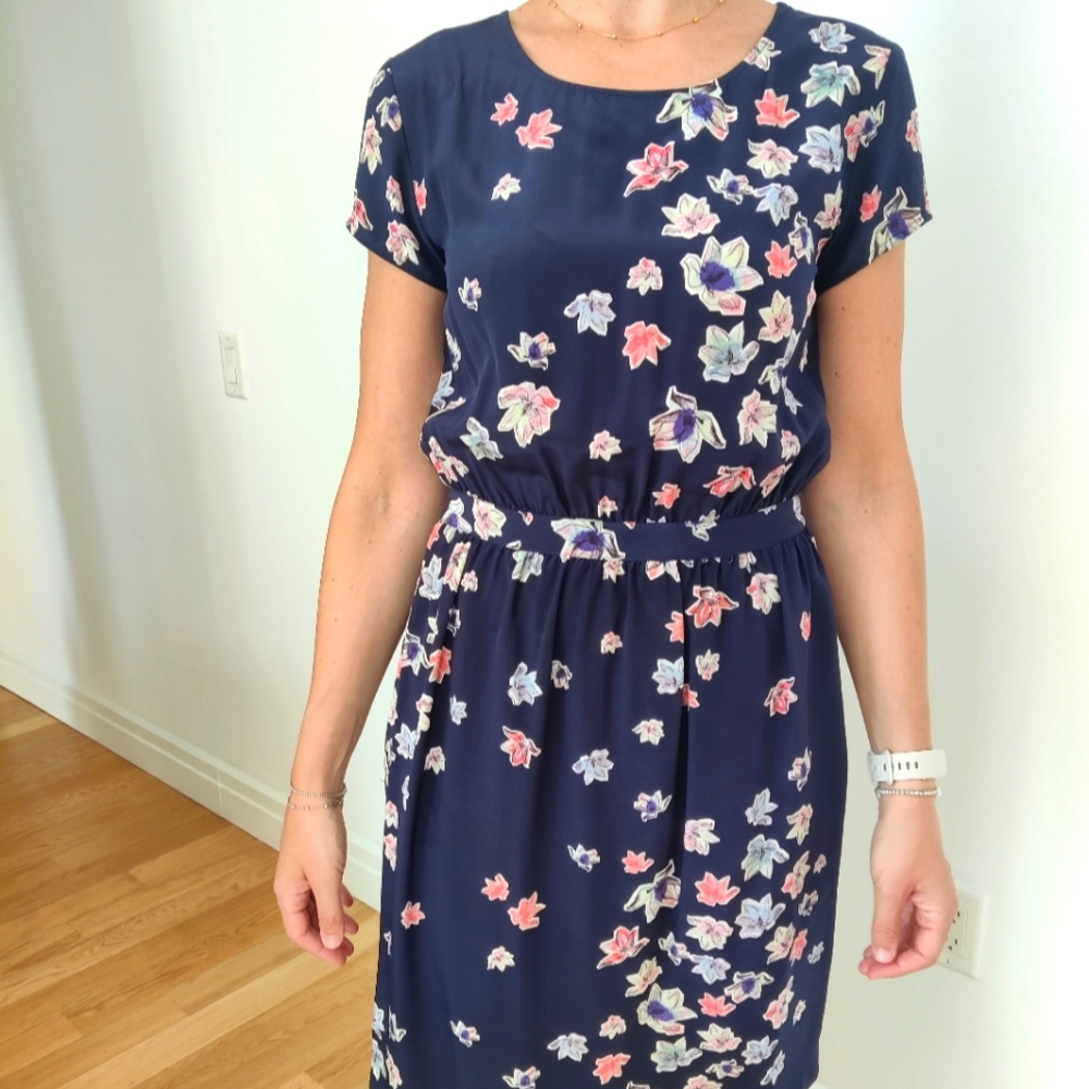 Club Monaco silk dress